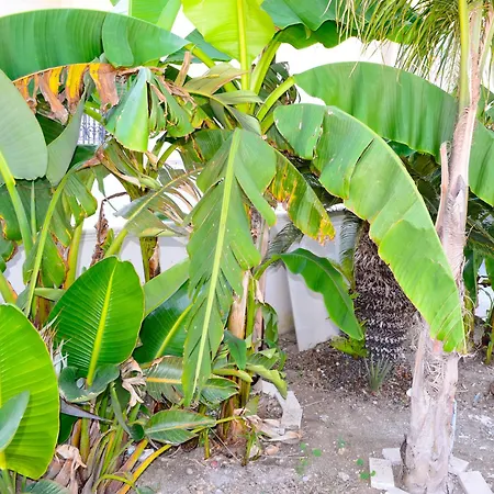 Monolocale Casa Palma Nardò